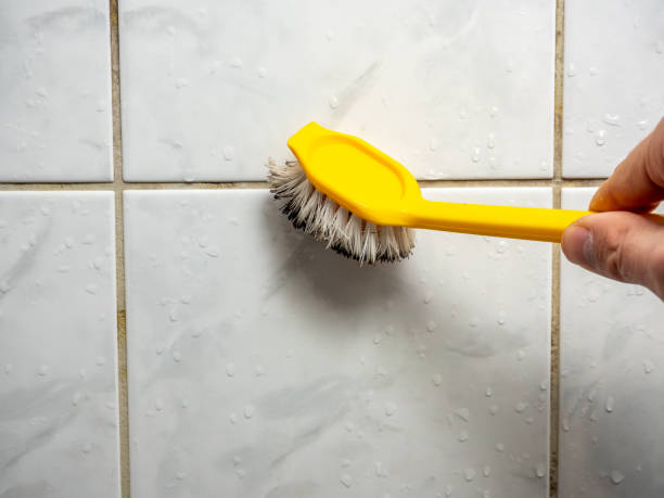 Best Residential Mold Removal  in Granite Shoals, TX