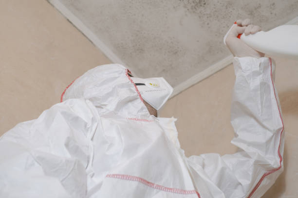 Best Emergency Mold Removal  in Granite Shoals, TX