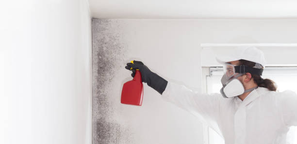 Best Crawl Space Mold Removal  in Granite Shoals, TX